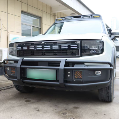 Big Bull Bar Type B Jetour T1